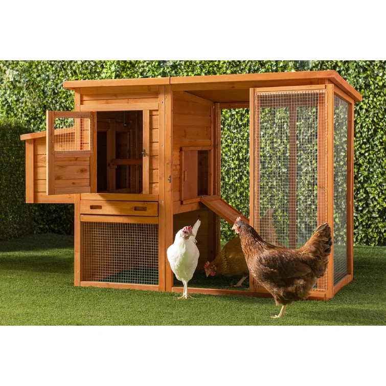 🐓 Chicken Coop with Chicken Run/Nesting Box/Roosting Bar Gmarket