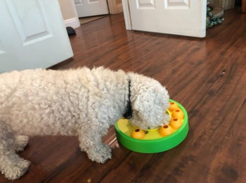 Wisdom Dog Toys Slow Leakage Feeding Training