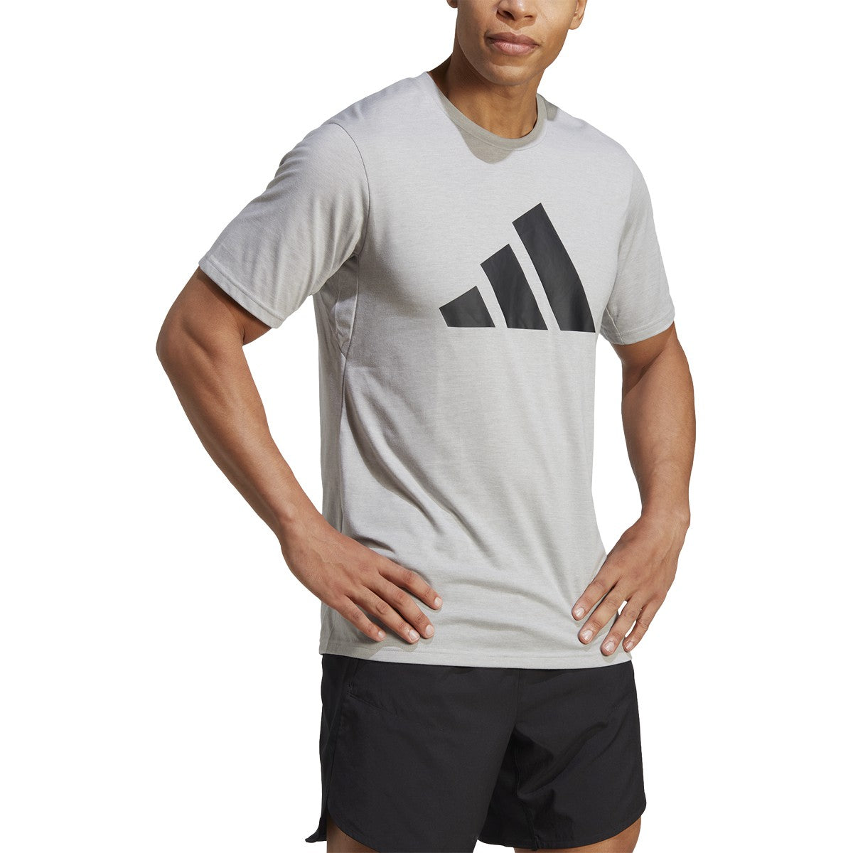 adidas Men's Train Essentials Feelready Logo T-Shirt