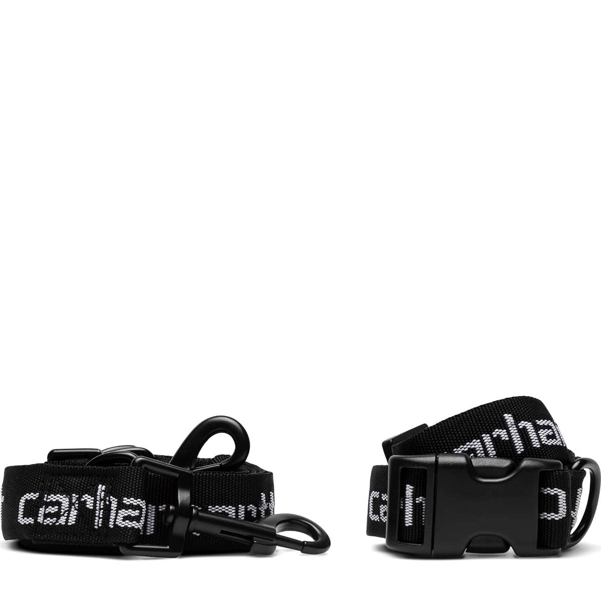 SCRIPT DOG LEASH & COLLAR