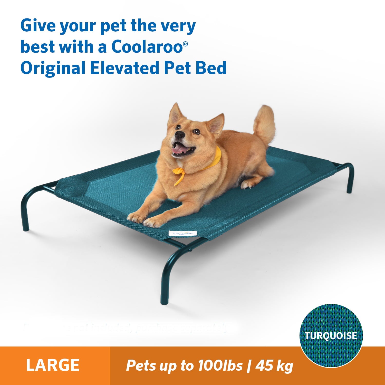 The Original Coolaroo Elevated Pet Dog Bed for Indoors and Outdoors， Large， Turquoise