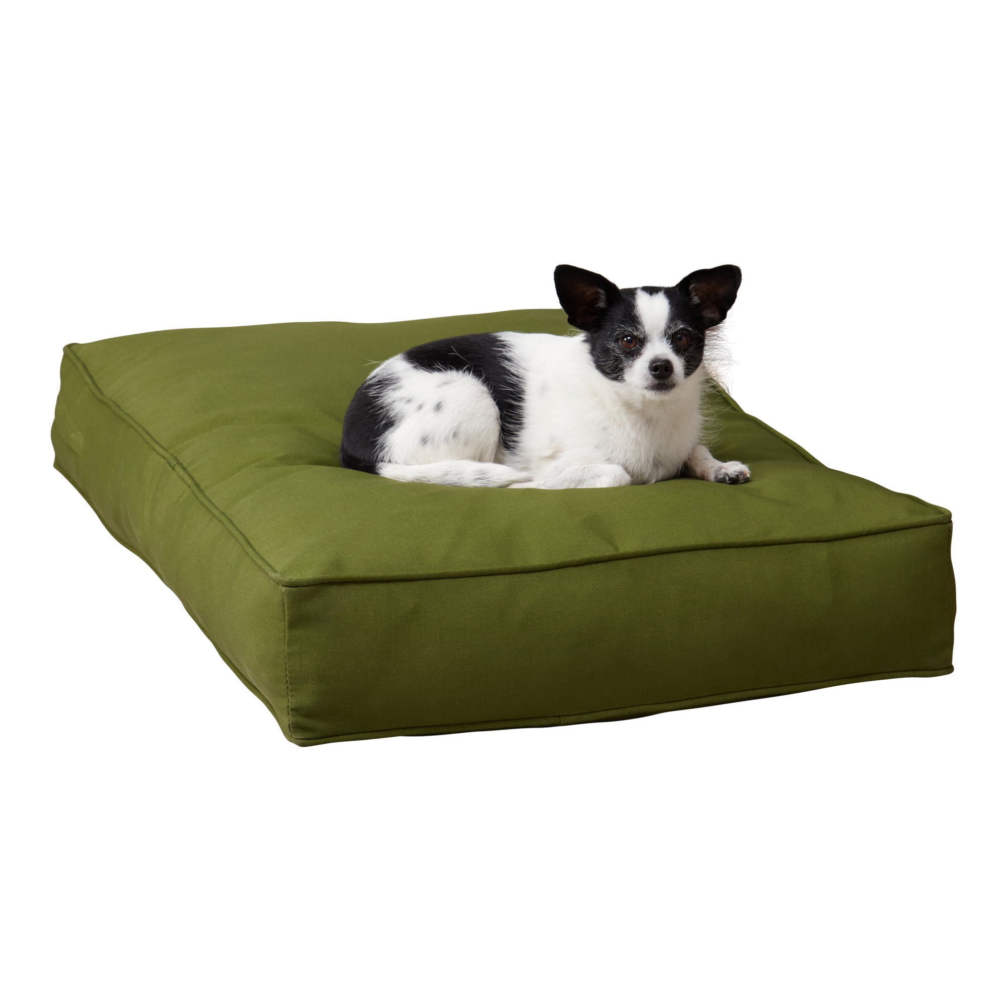 Happy Hounds Casey Indoor/Outdoor Pillow Style Dog Bed， Hunter， Small (36 x 24 in.)