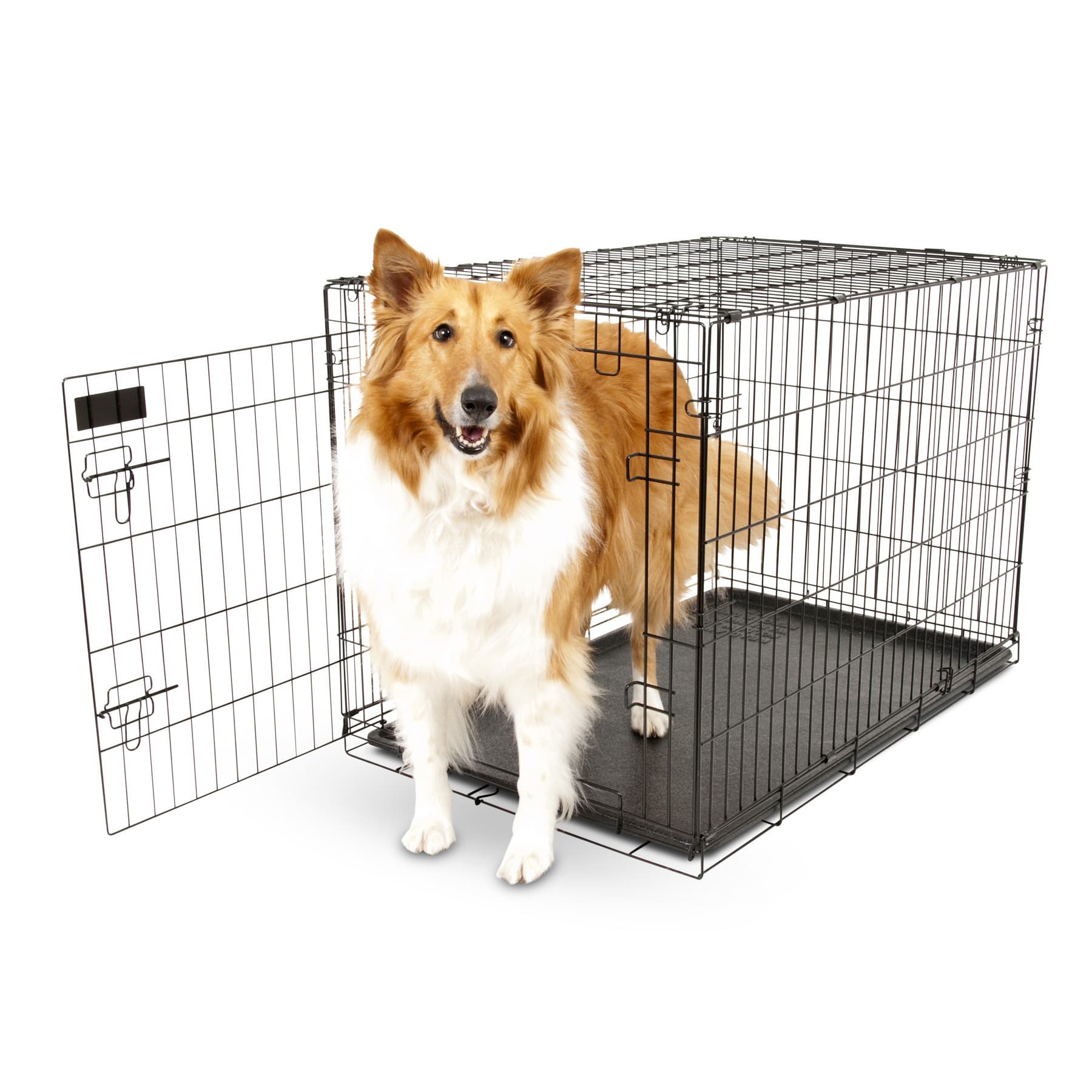 Aspen Pet Wire Home Training Dog Kennel