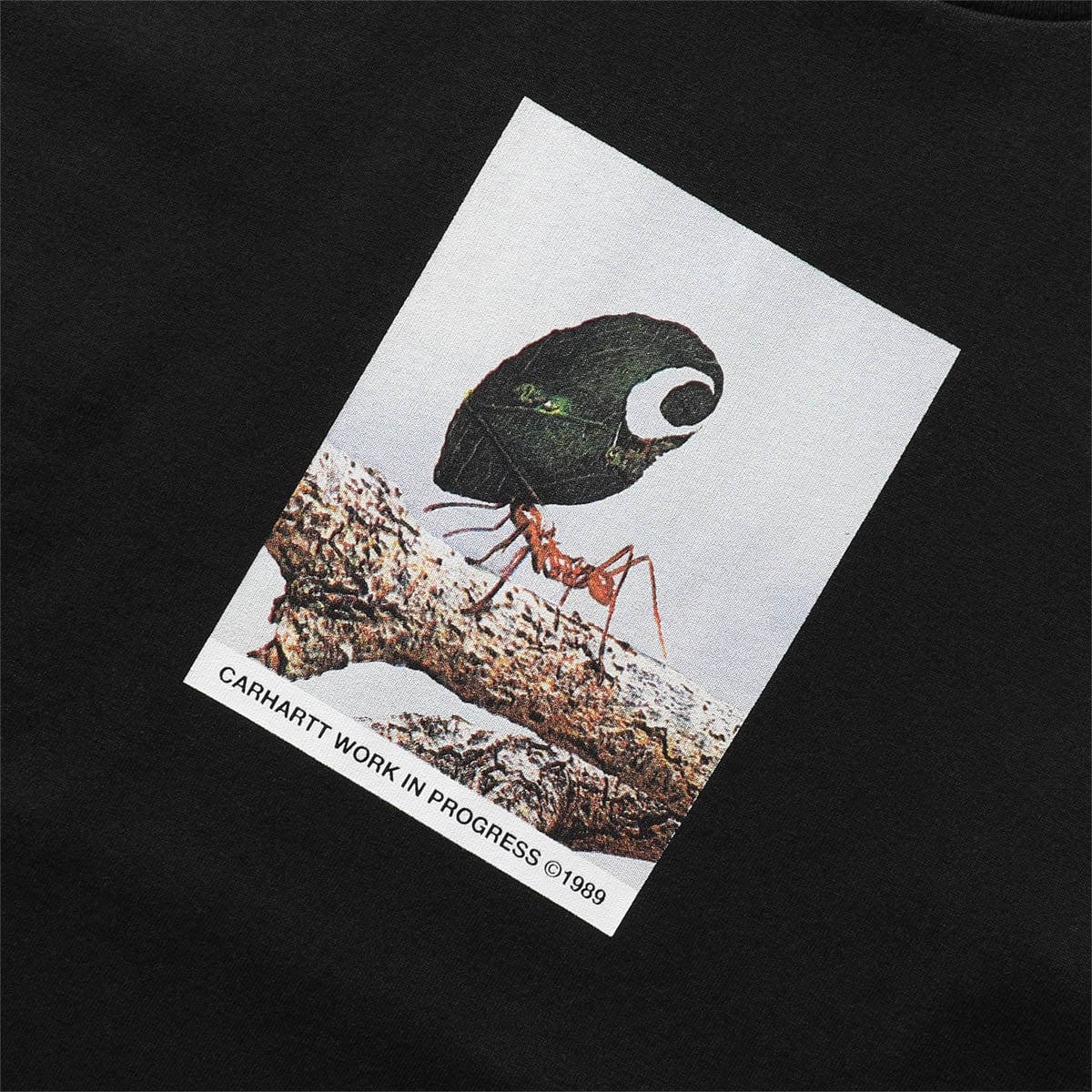 ANTLEAF T-SHIRT