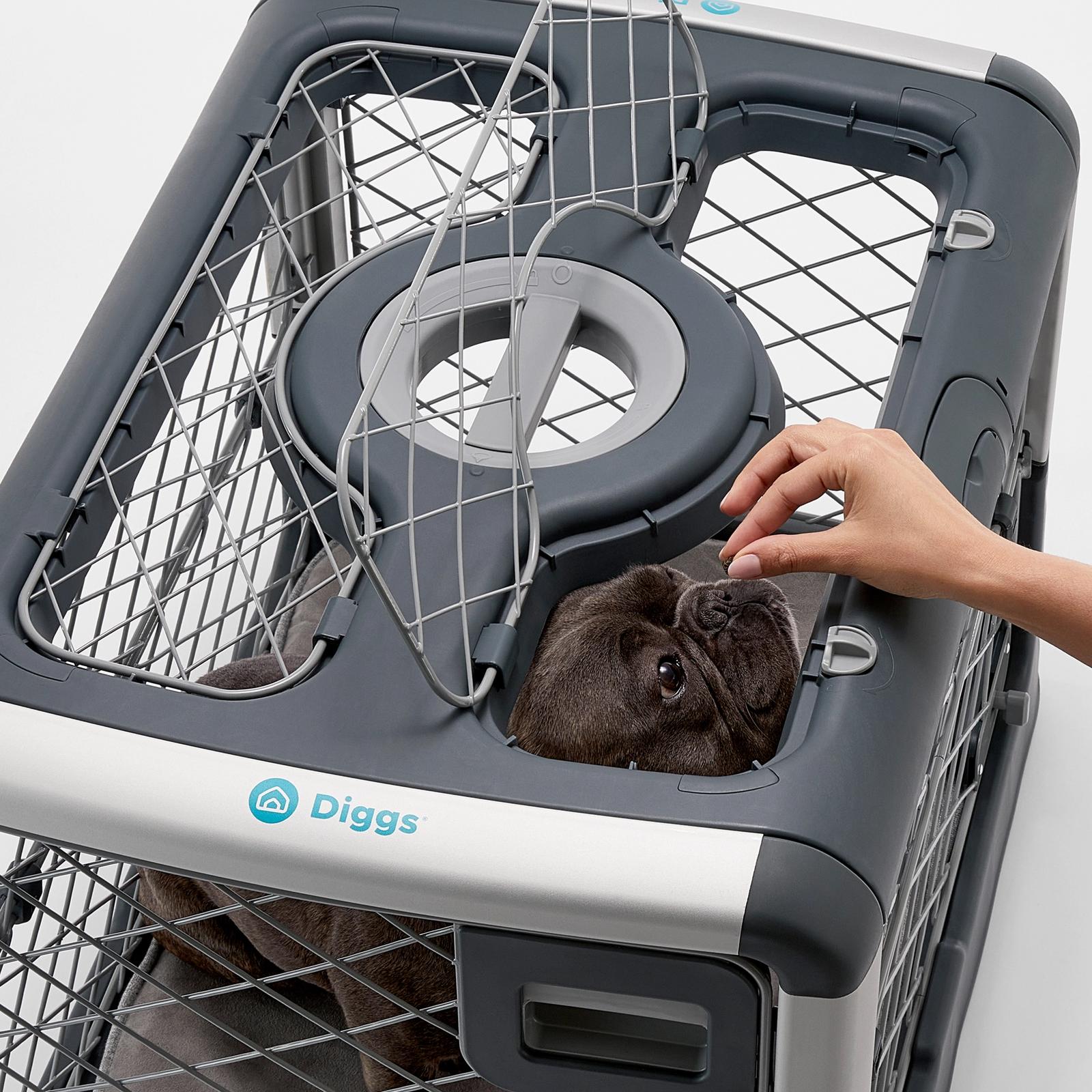 Diggs Revol Small Dog Crate - Portable Travel Dog Crate with Collapsible Kennel Walls