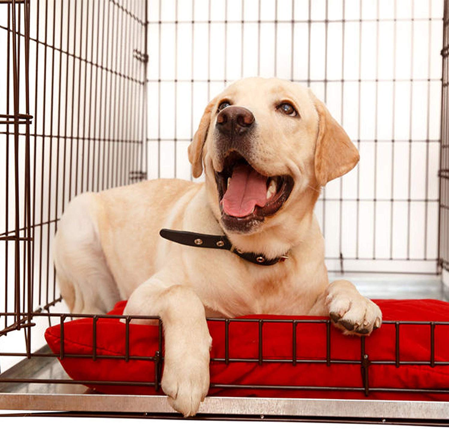 Large Dog Crate Tray 41