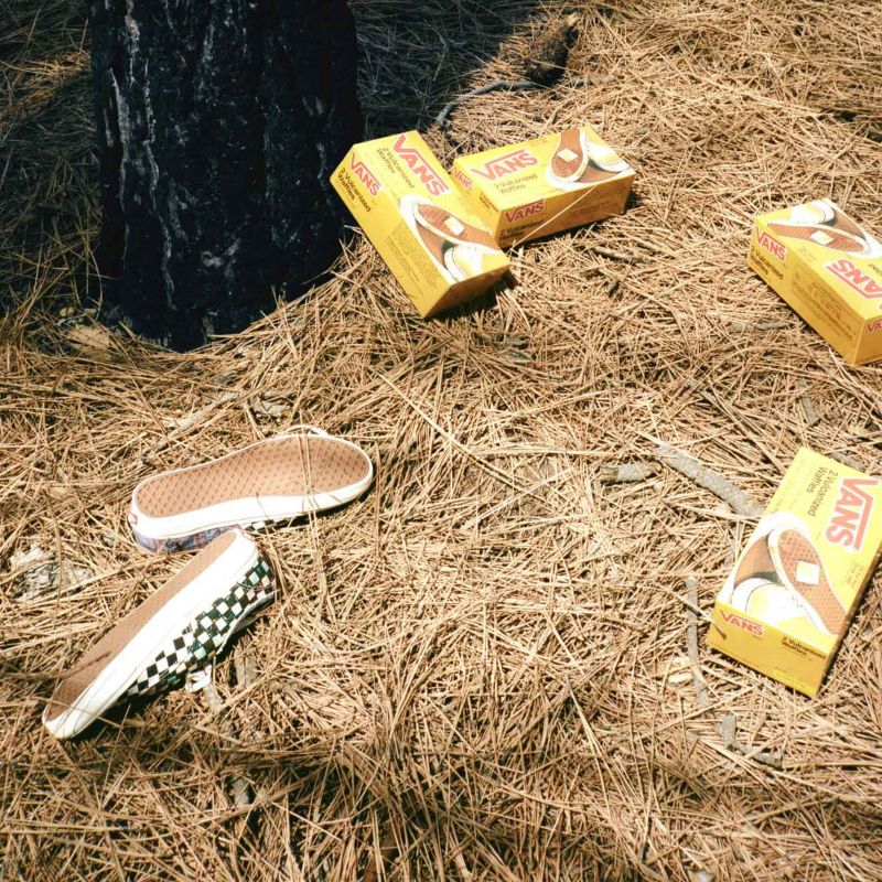 Vans X Stranger Things Authentic