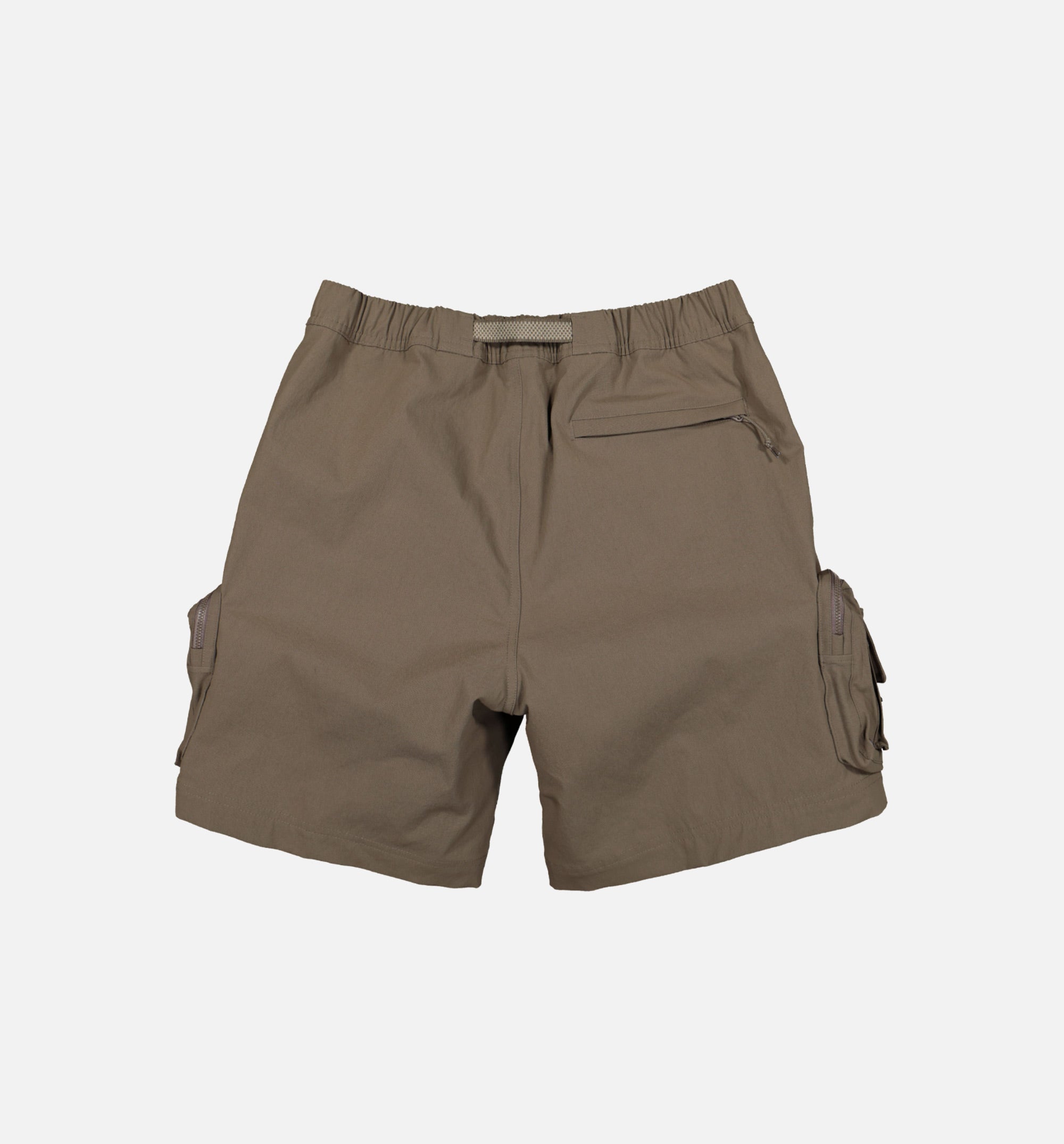 ACG Cargo Shorts Mens Shorts - Brown