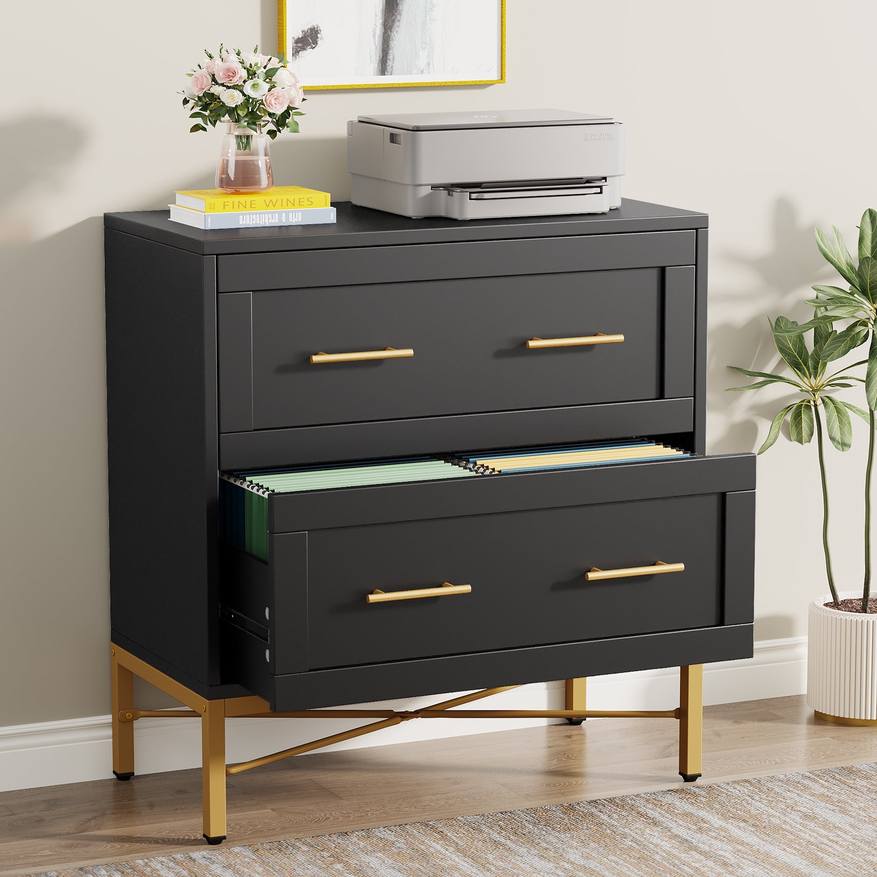 2-Drawer File Cabinet, Lateral Storage Cabinet Printer Stand