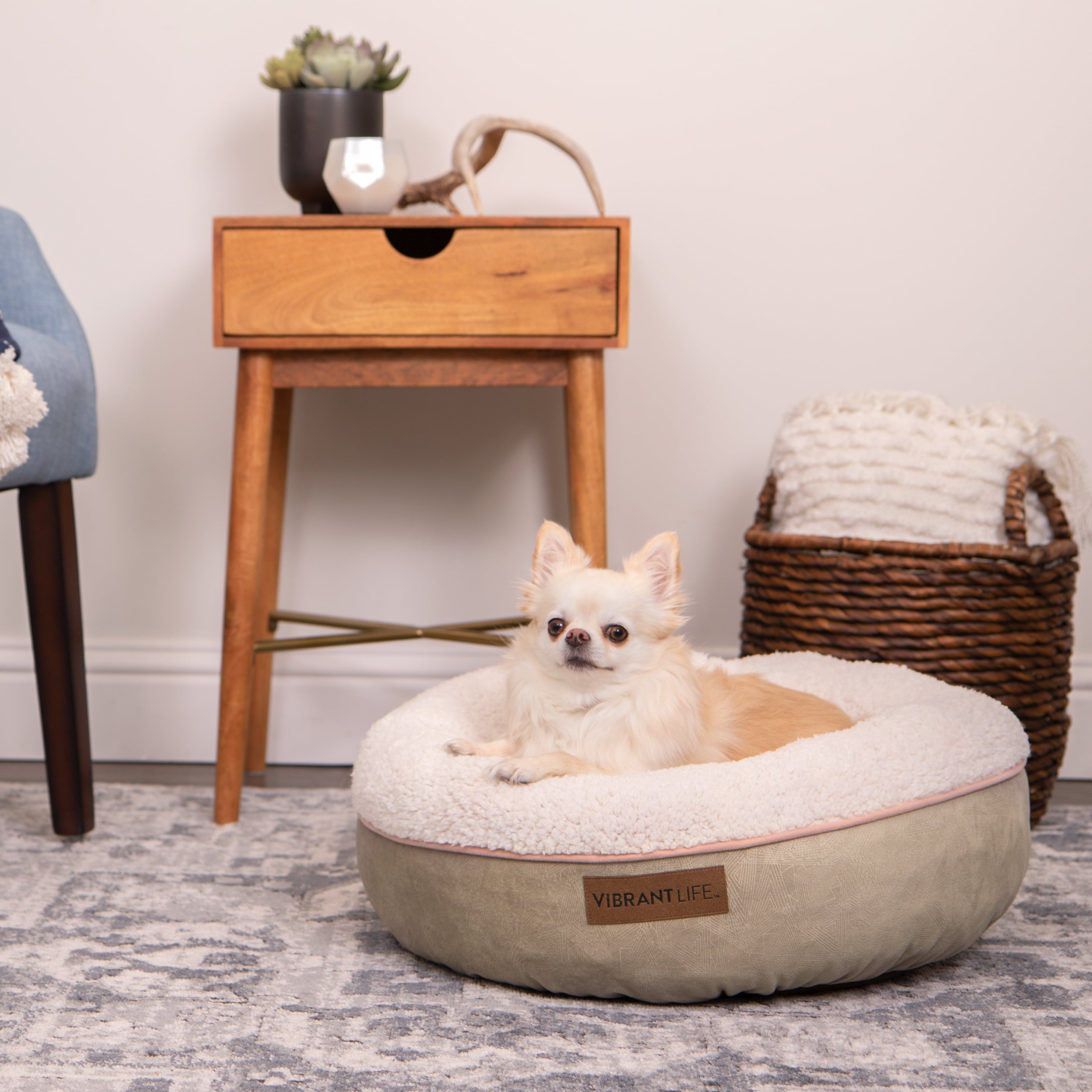 Vibrant Life Sweet Sleeper Pet Bed Mattress Edition， Small， 22