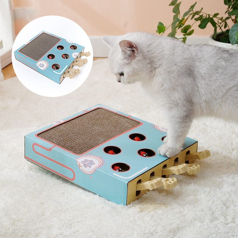 Cat Interactive Toy