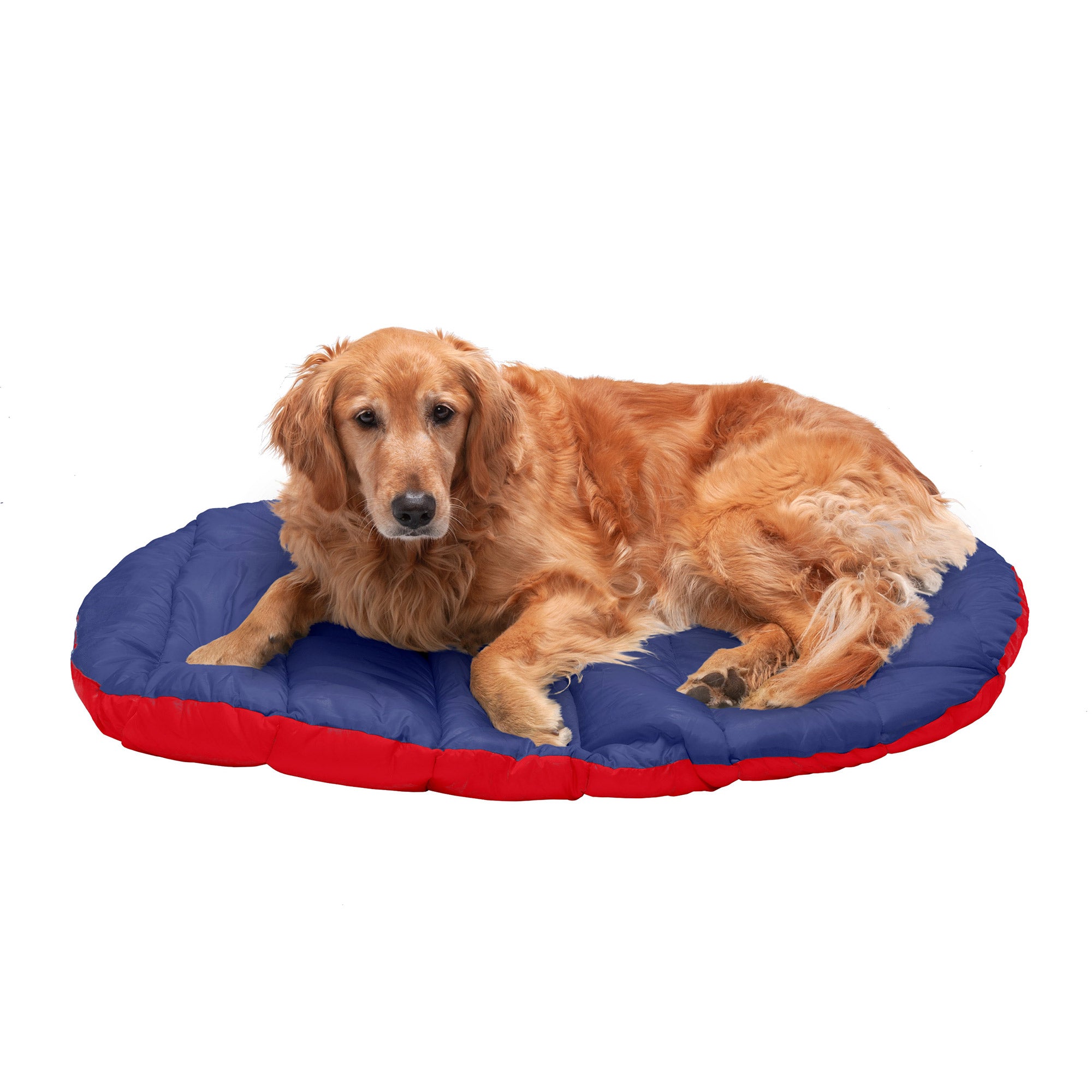 FurHaven | Trail Pup Packable Stuff Sack Travel Pillow Bed for Dogs and Cats， Flame Red and True Blue， Large