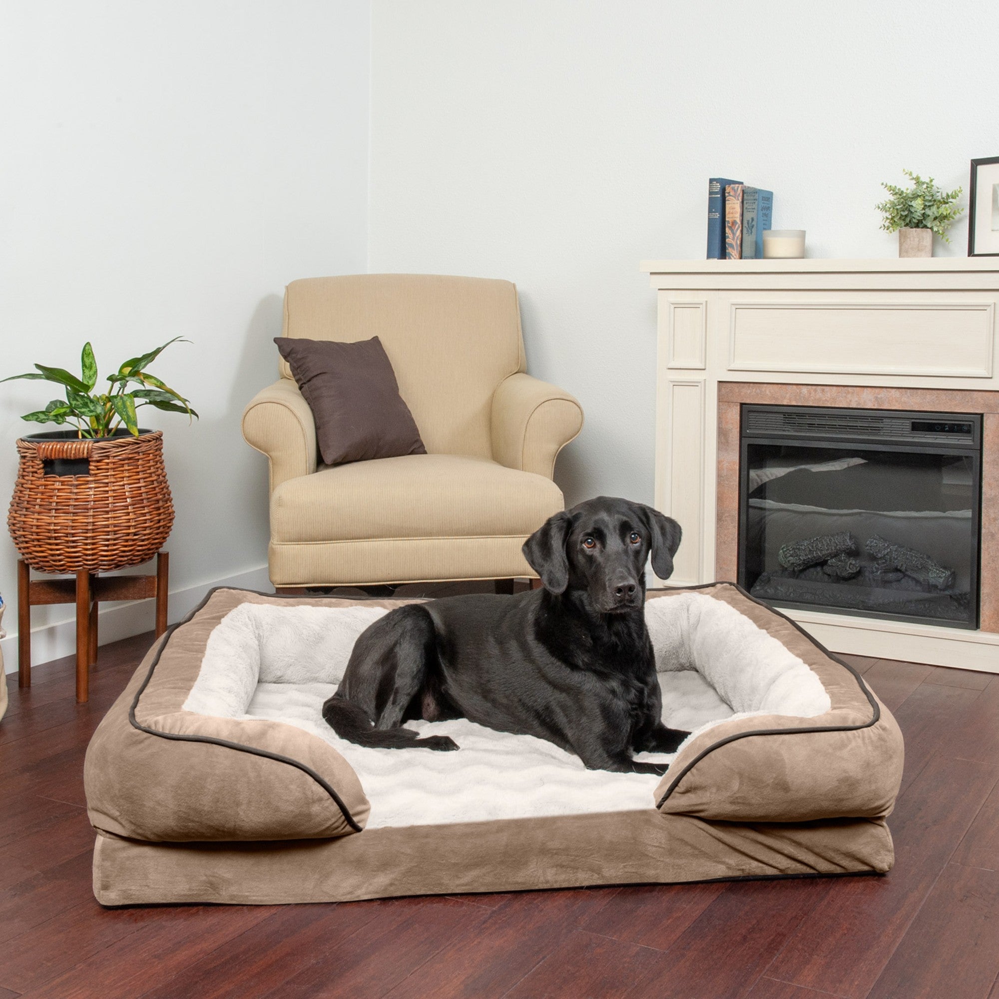 FurHaven Pet Products | Convolute Orthopedic Perfect Comfort Velvet Waves Sofa-Style Couch Pet Bed for Dogs and Cats， Brownstone， Jumbo