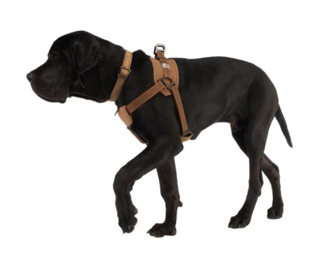 Carhartt Dog Training Harness