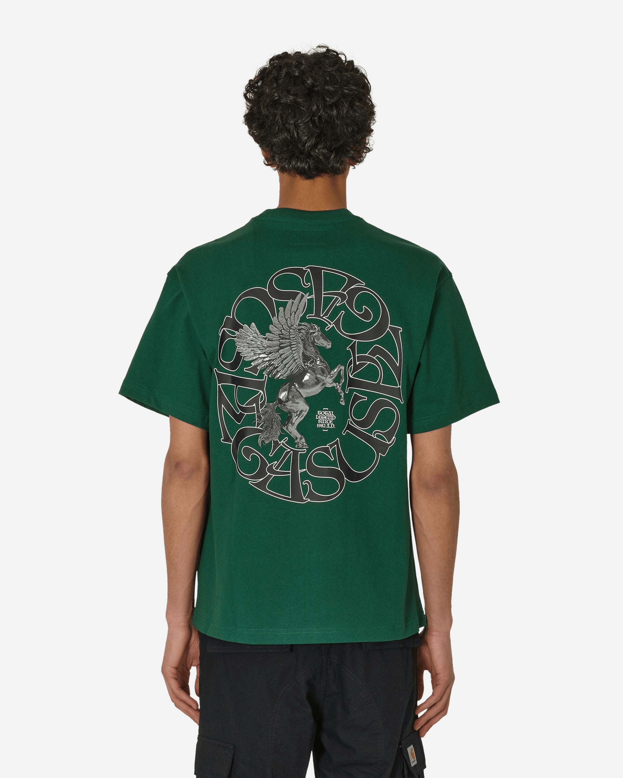 NRG Pegasus T-Shirt Gorge Green / Black