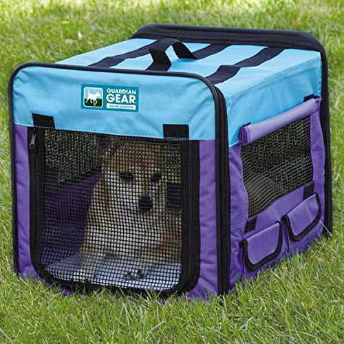 Collapsible Dog Crate Portable Pet Travel Colorful Mesh Panel Window Choose Size (XSmall 18”L x 15”W x 16”H (Purple/Turquoise))