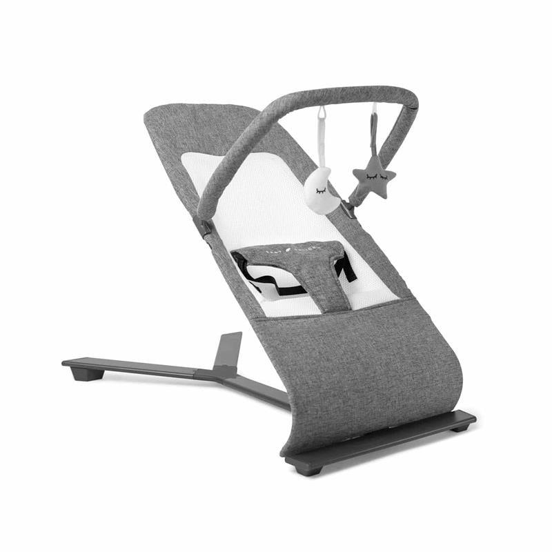 Baby Delight Alpine Wave Deluxe Portable Bouncer | Automated Motion Baby Bouncer | Infants 0 – 6 Months | Driftwood Grey