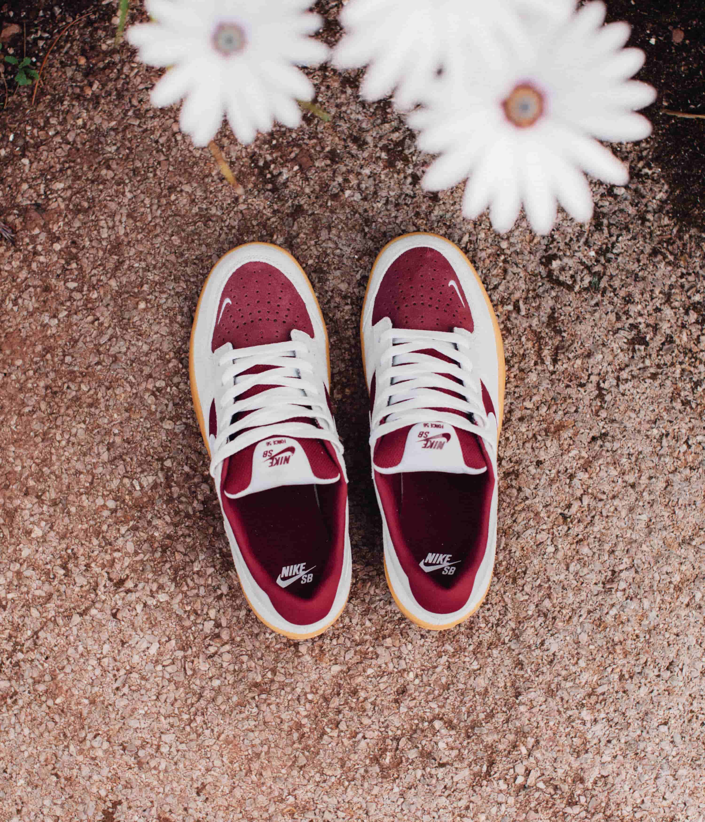 Nike SB Force 58 Shoes - Team Red / White - Summit White