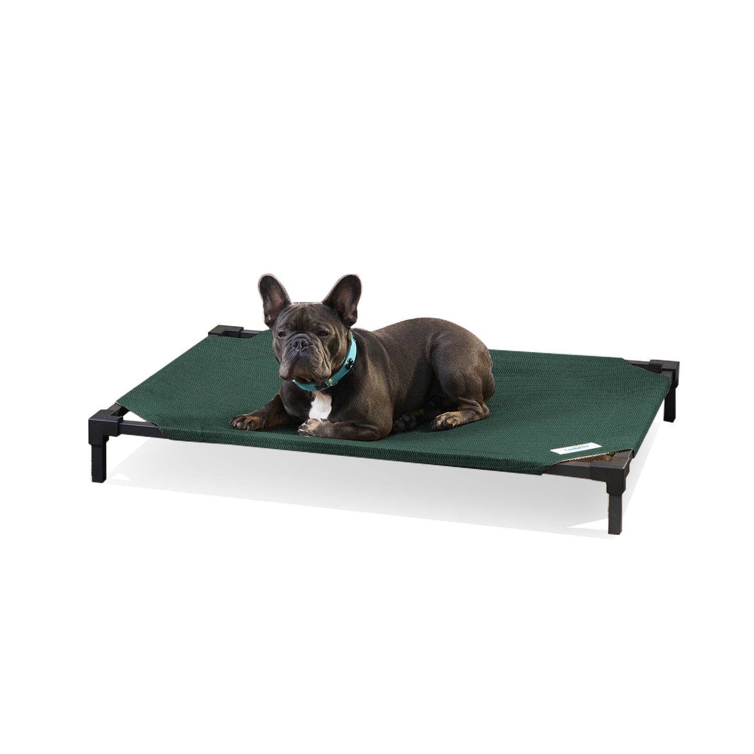 Coolaroo Cooling Elevated Dog Bed Pro， Medium， Fits in 42in Crates， Brunswick Green