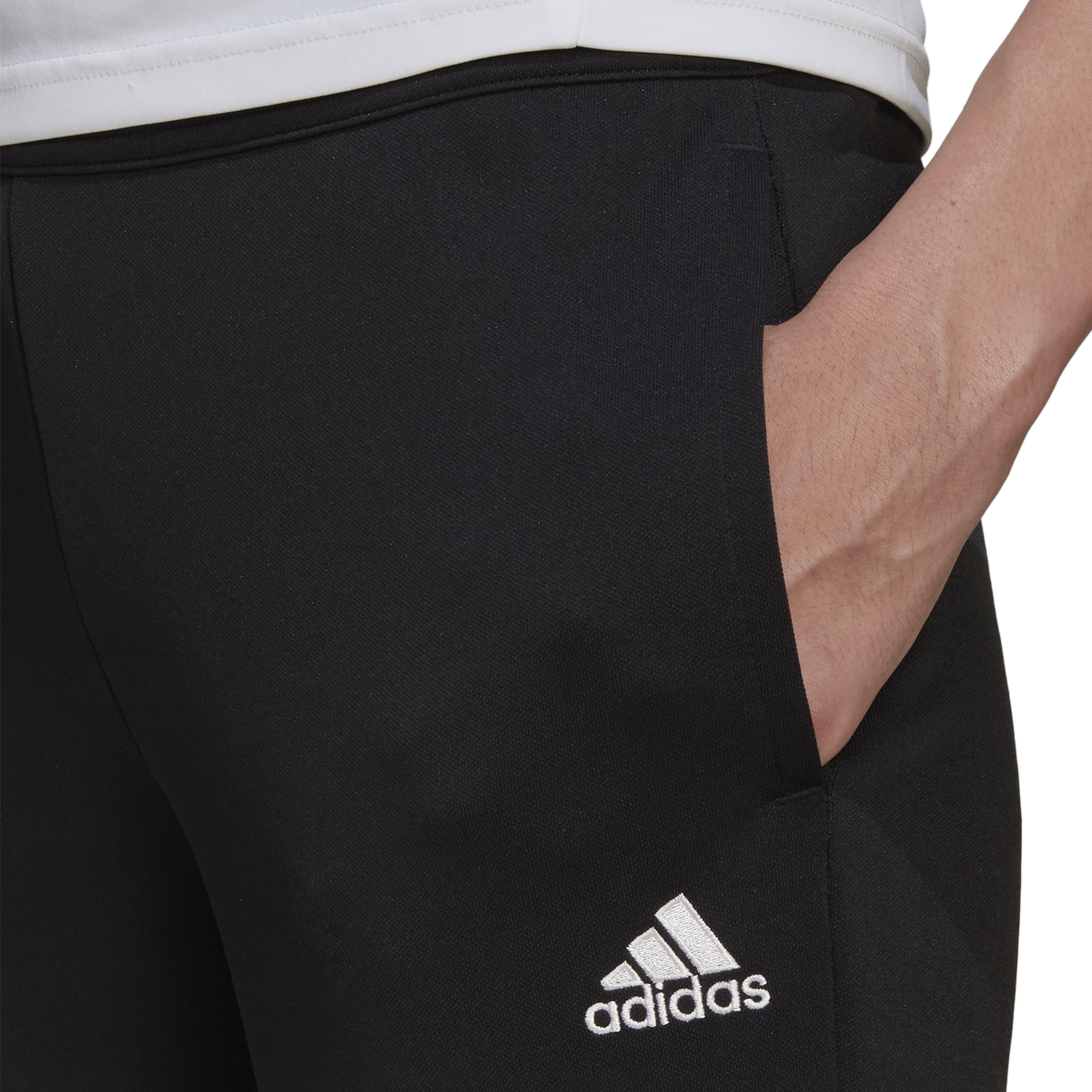 Women's Entrada 22 Track Pant