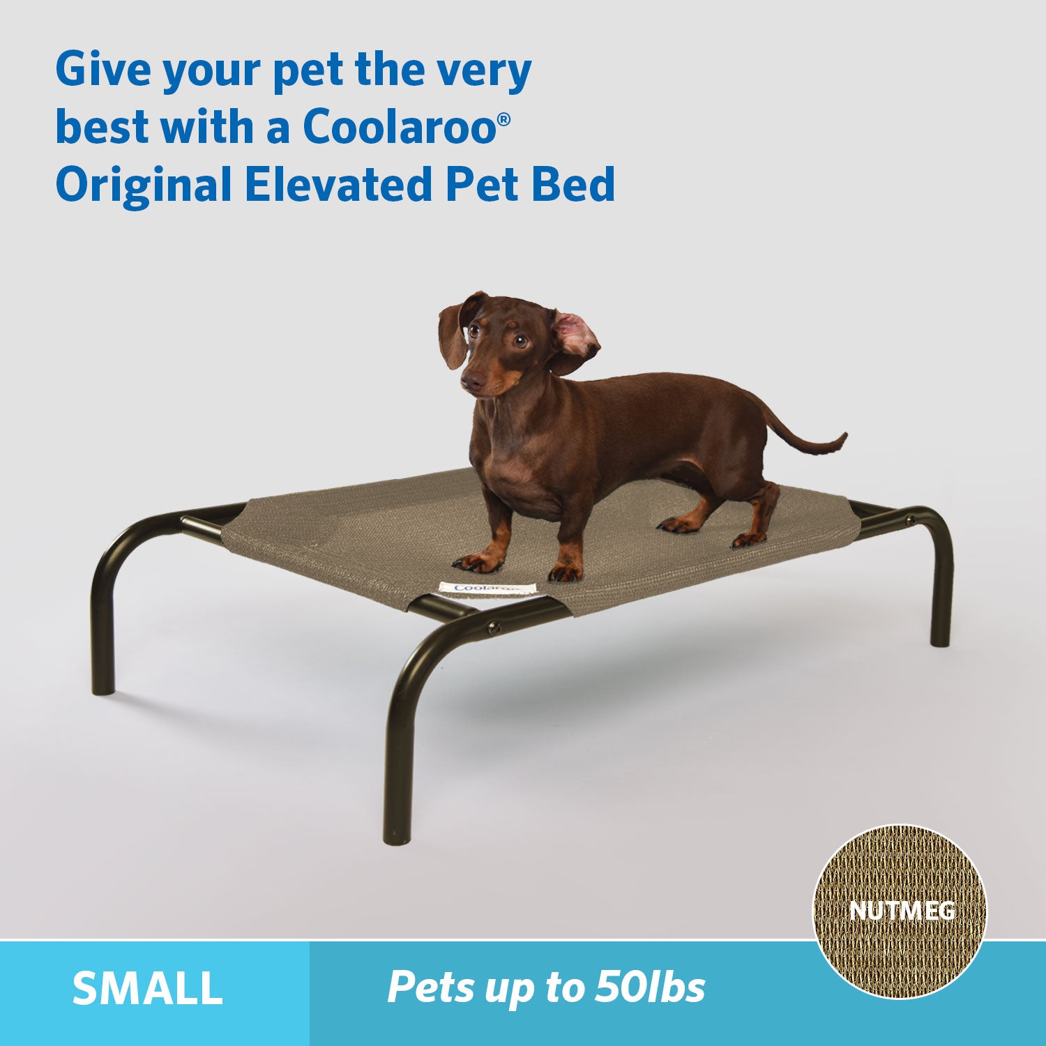 The Original Coolaroo Elevated Pet Dog Bed for Indoors and Outdoors， Small， Nutmeg