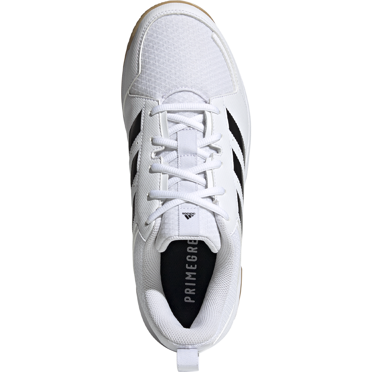 Men's Ligra 7