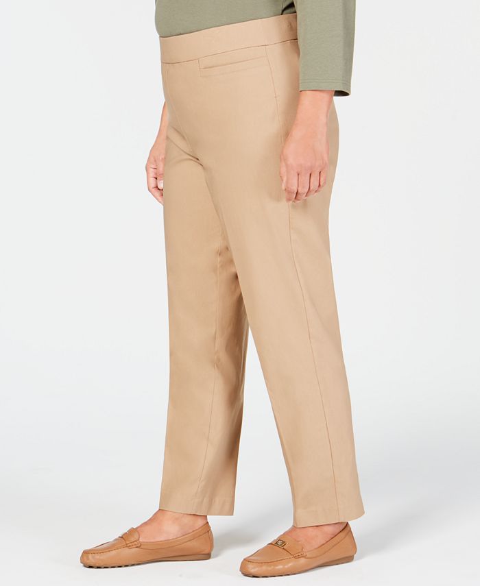 Plus Size Classic Allure Tummy Control Pull-On Average Length Pants
