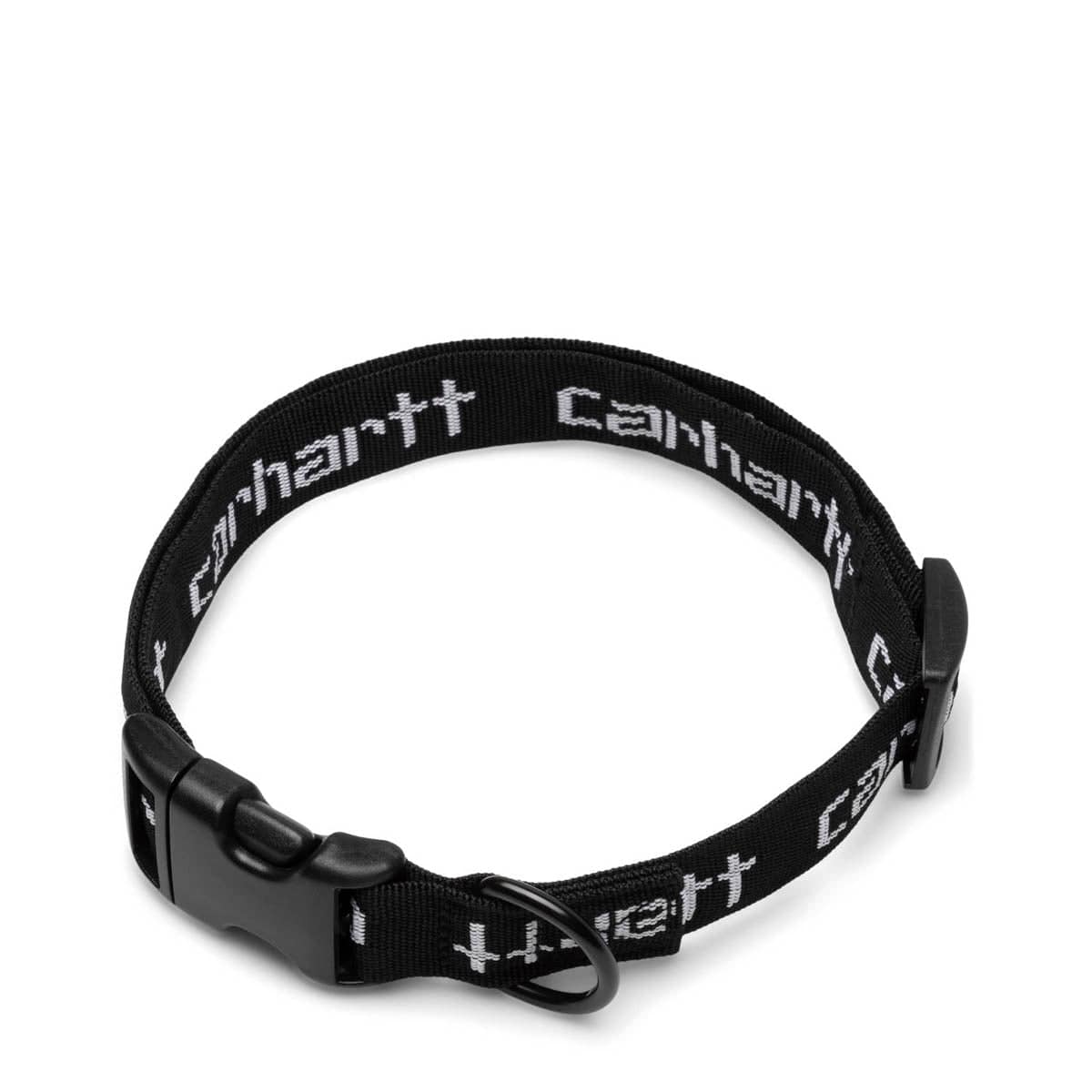 SCRIPT DOG LEASH & COLLAR