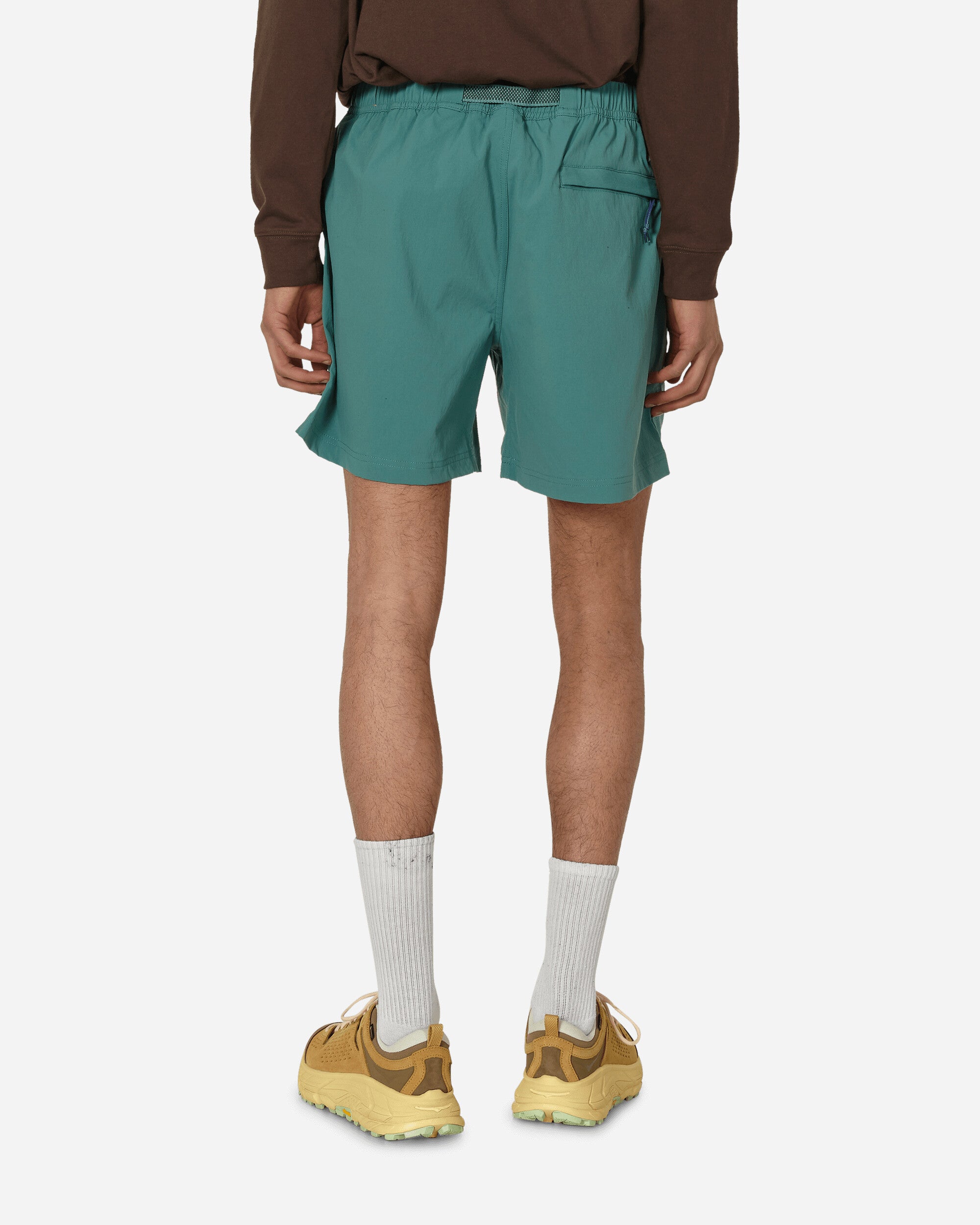 ACG Hiking Shorts Bicoastal / Vintage Green