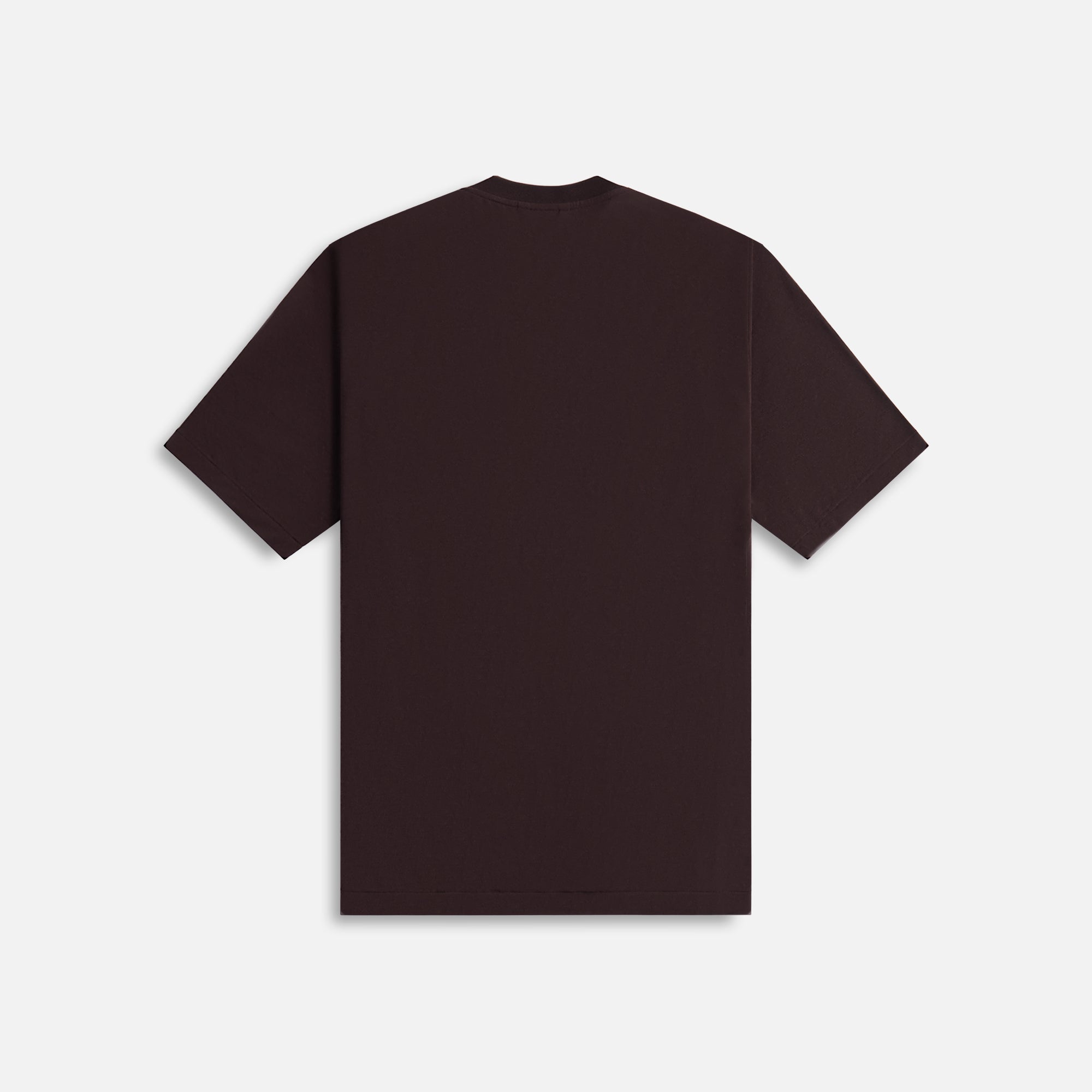 Auralee Super Soft Wool Jersey Tee - Dark Brown