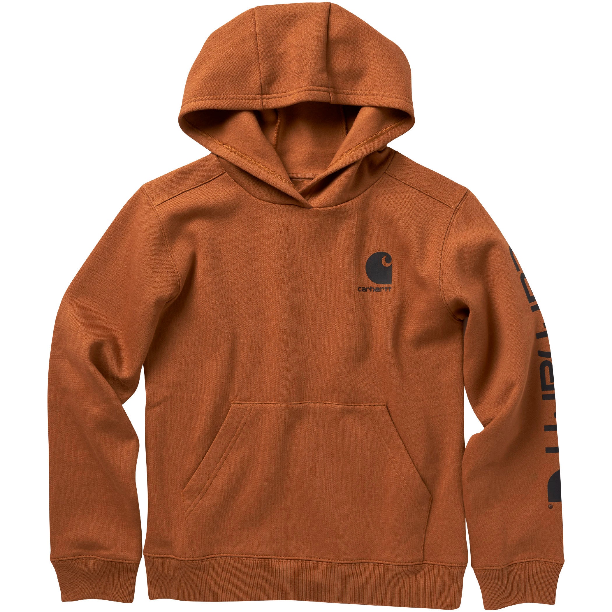 Carhartt Kid's Long Sleeve Graphic Hooded Sweatshirt