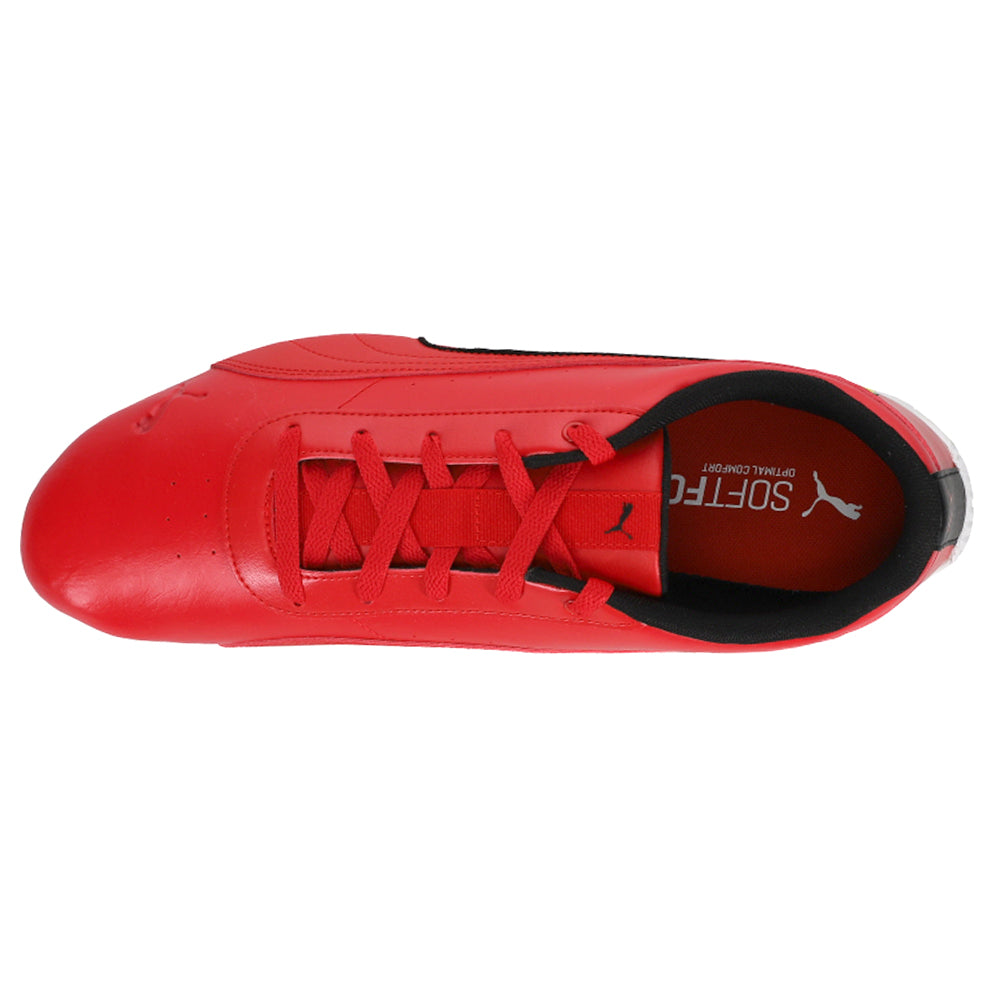 SF Neo Cat Lace Up Sneakers