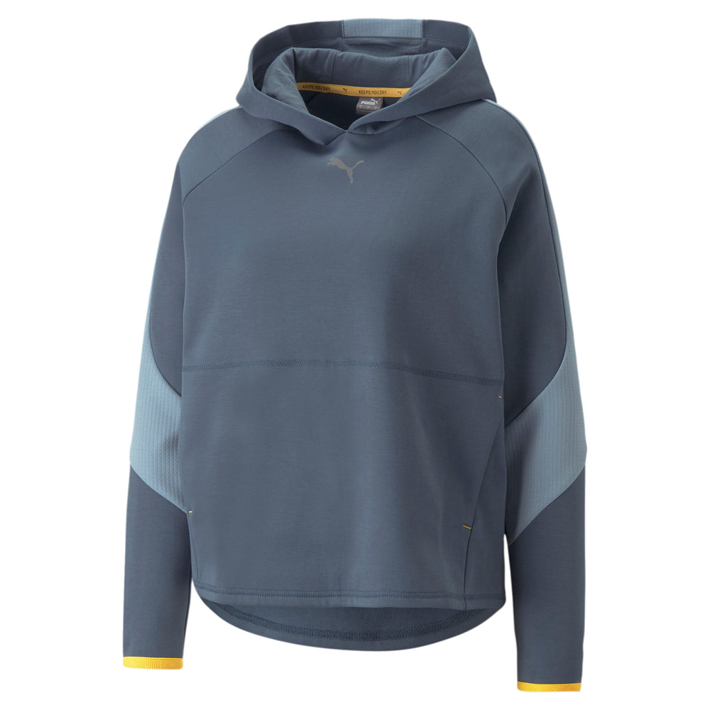 Evostripe Pullover Hoodie