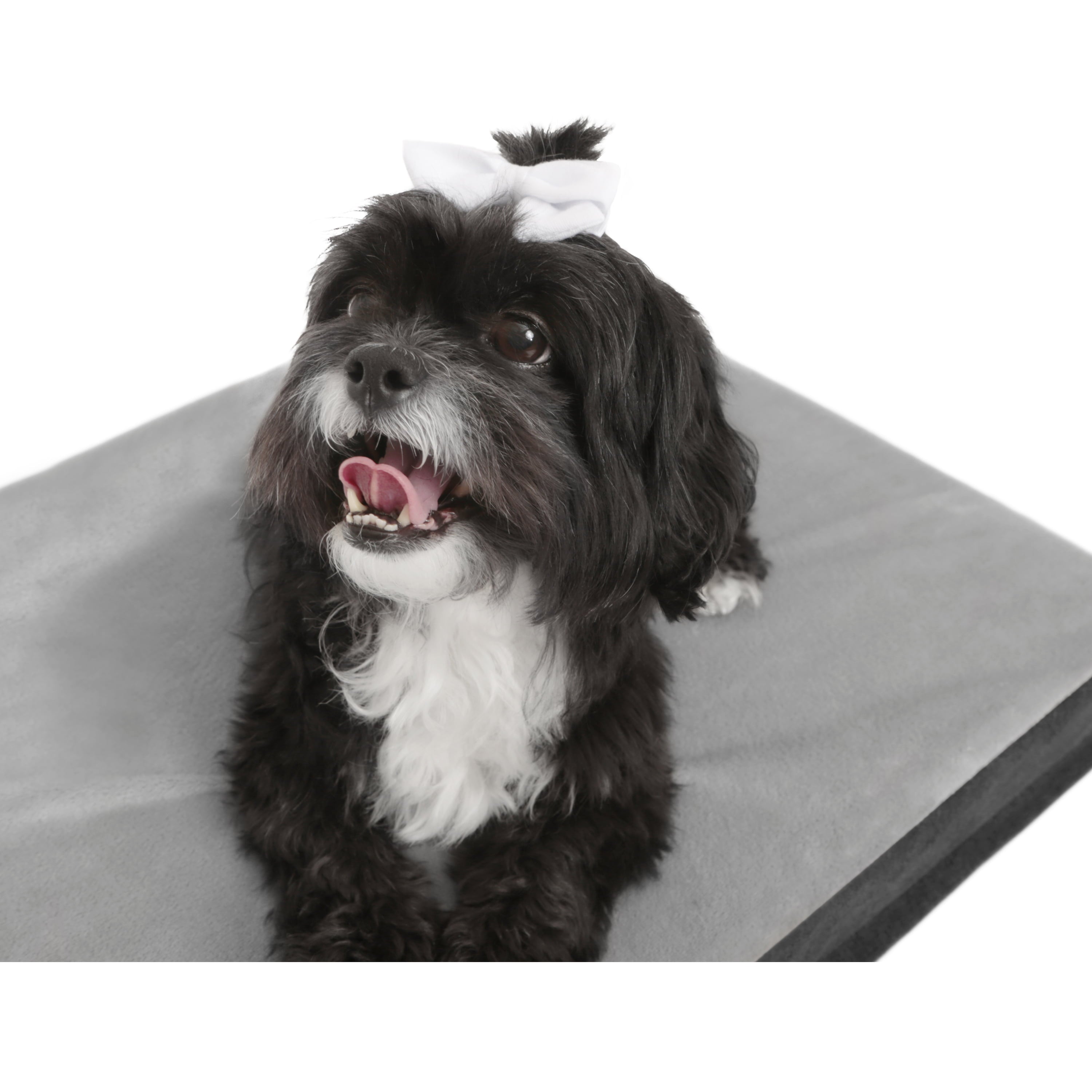 TailZzz Dream Pet Mattress | Large to Extra Large Dog Mattress | Anti-Slip Pet Mattress Bed