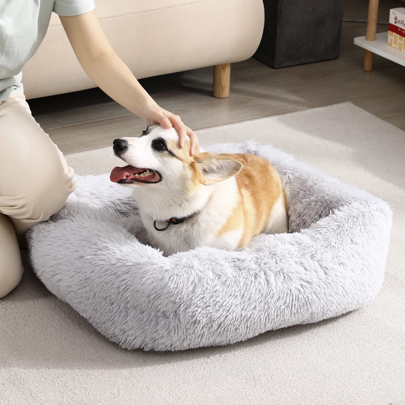 Rectangle Plush Dog Bed Cat Beds for Small Dogs，Washable Small Pet Beds Small（22x18x7in，Under 15 lbs）， Lightgrey