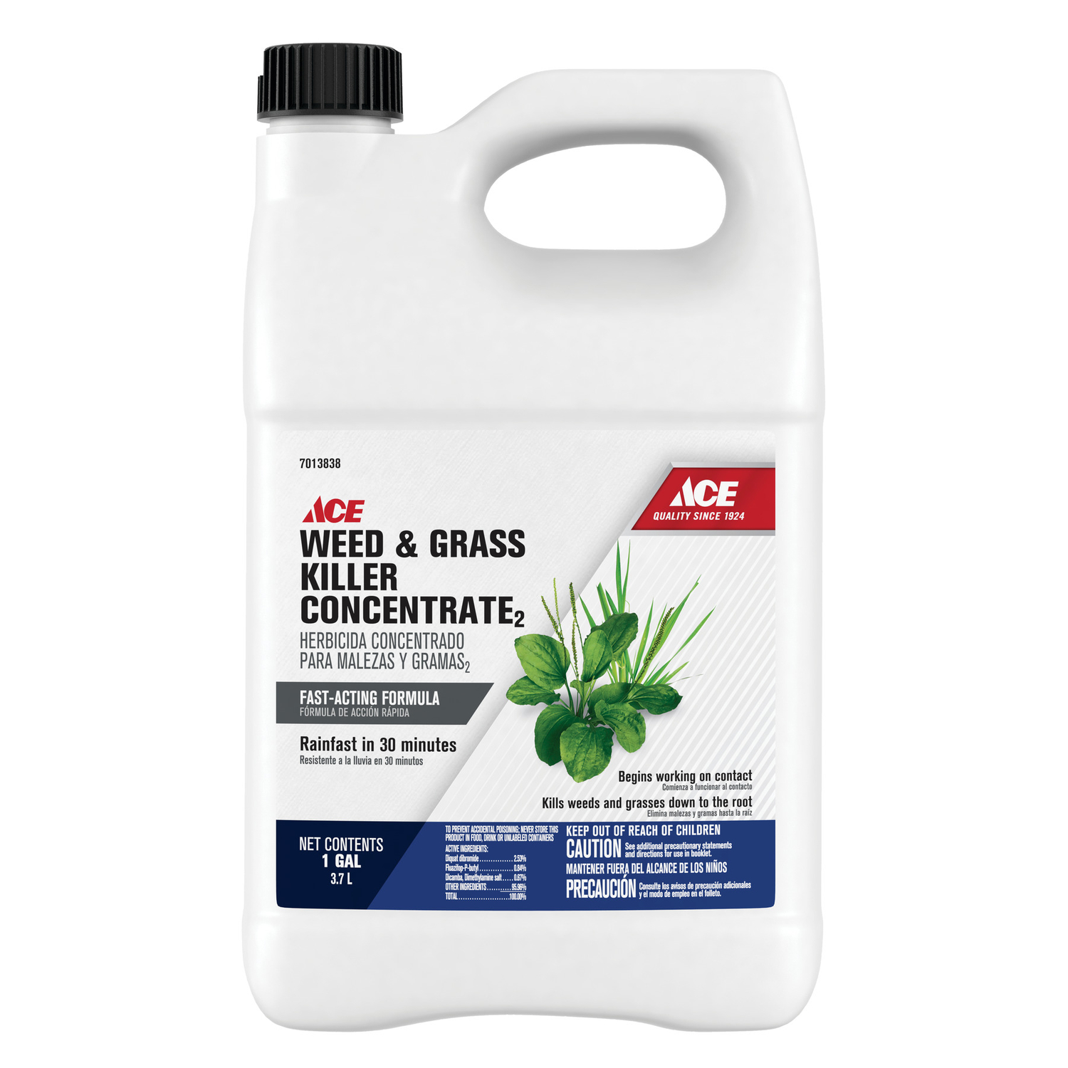 Ace Weed And Grass Killer Concentrate 1 Gal Universal