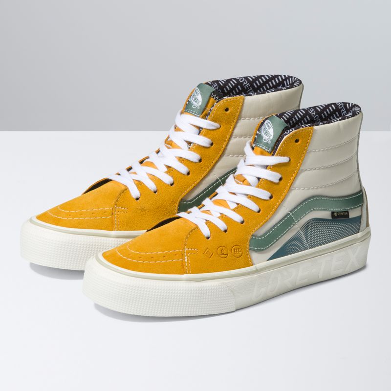 Sk8-Hi Gore-Tex