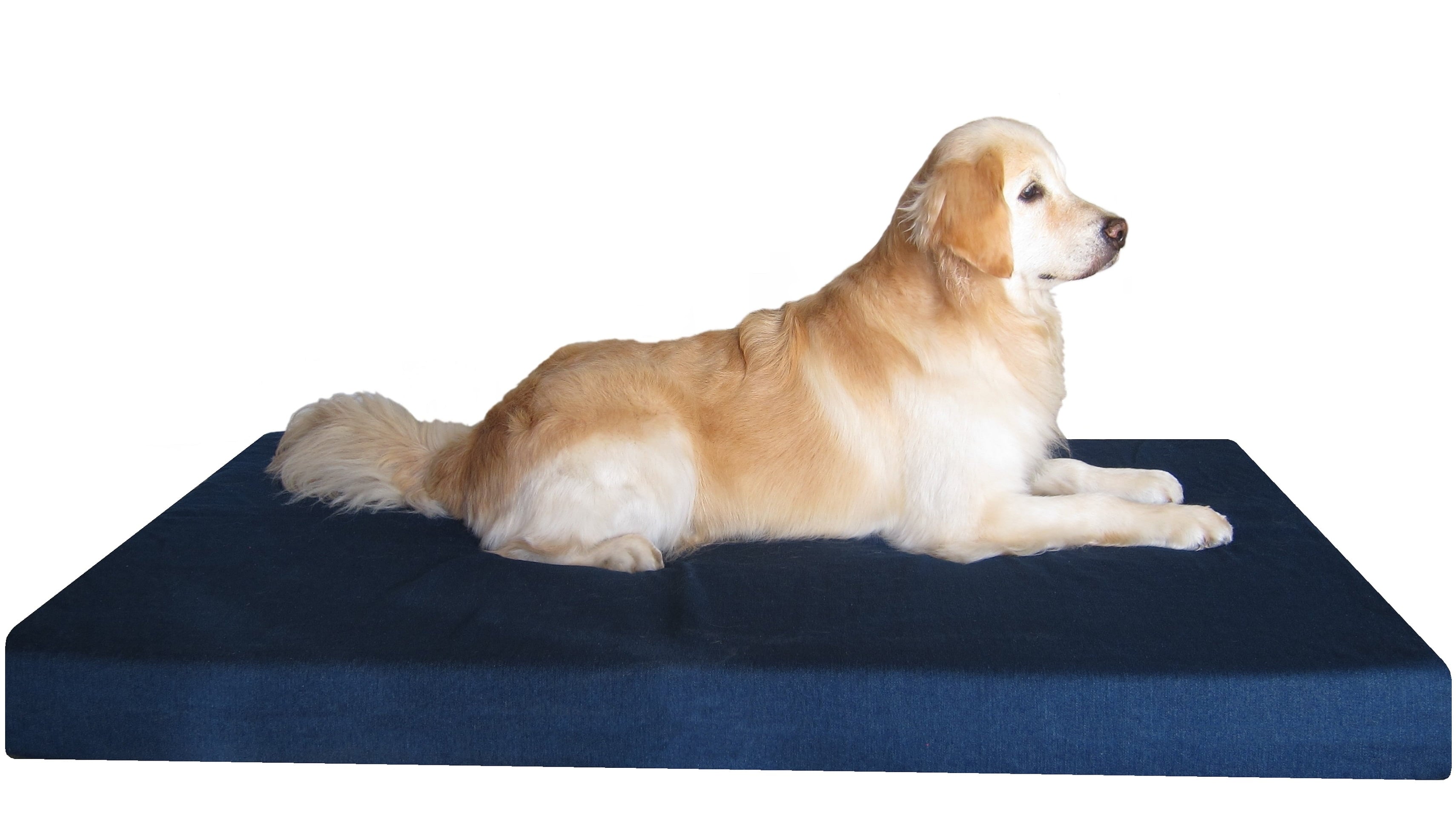 Jumbo Orthopedic Waterproof Memory Foam Dog Bed for Extra Large Pet 55