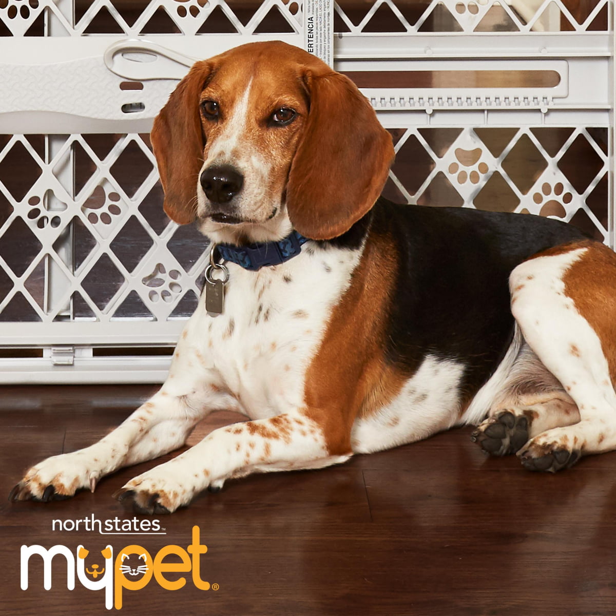 North States MyPet Petyard Passage 4 Panel Plastic Dog Playpen， Indoor Outdoor， Brown