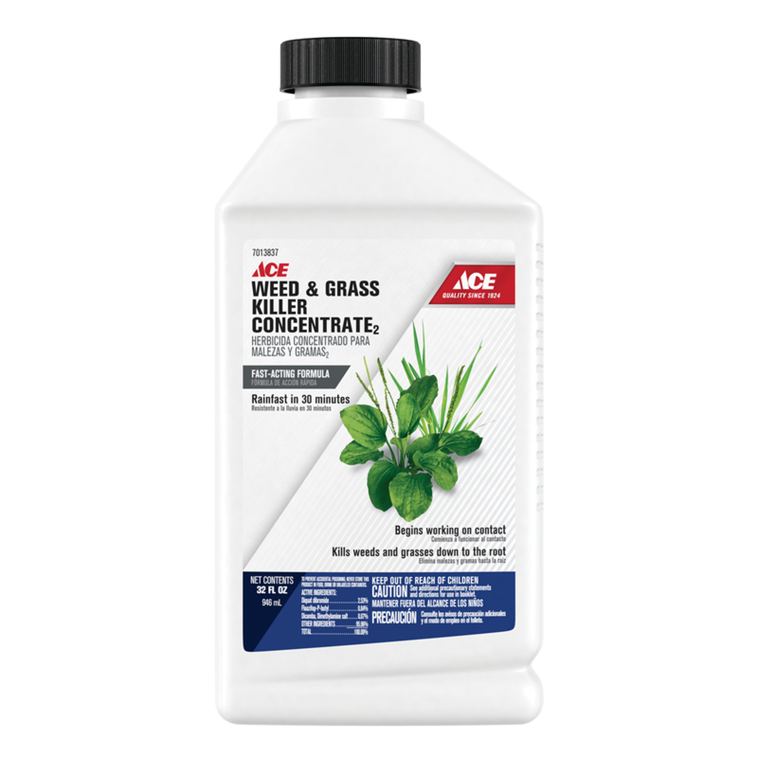 Ace Weed and Grass Killer Concentrate 32 oz Universal