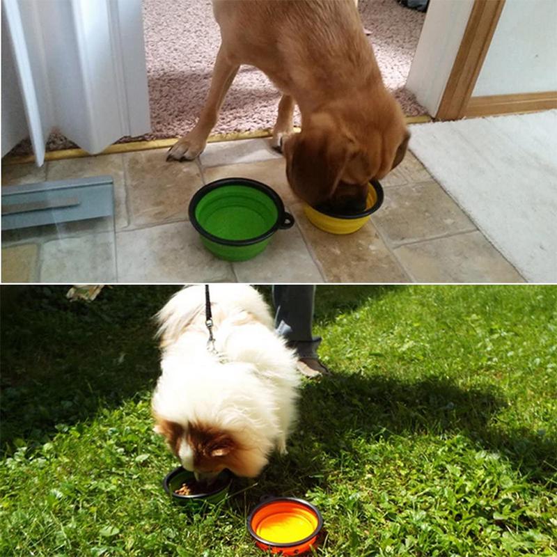 Collapsible Dog Bowl