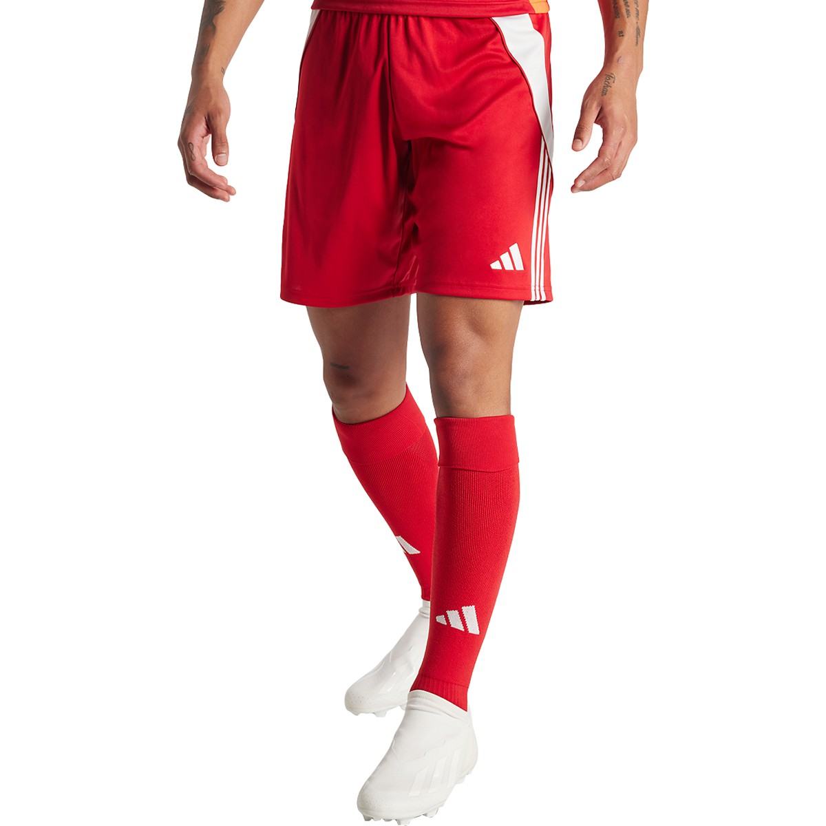 adidas Men's Tiro 24 Soccer Shorts