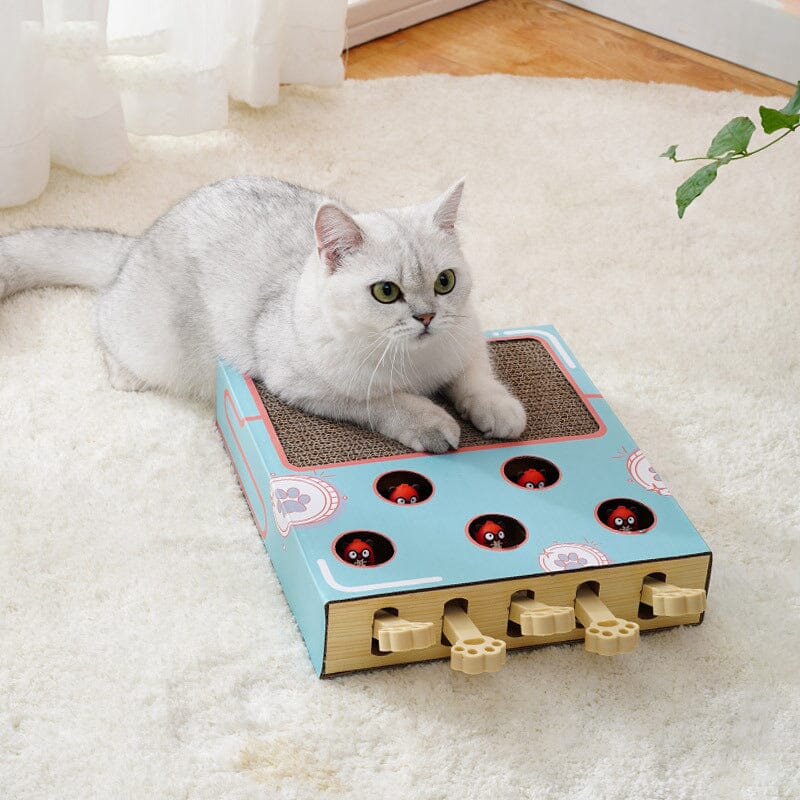 Cat Interactive Toy