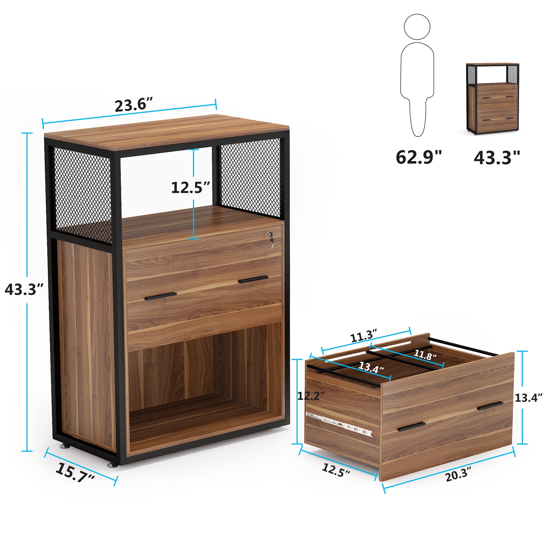 2-Drawer File Cabinet, Letter/Legal / A4 Size Filing Cabinet with  Lock