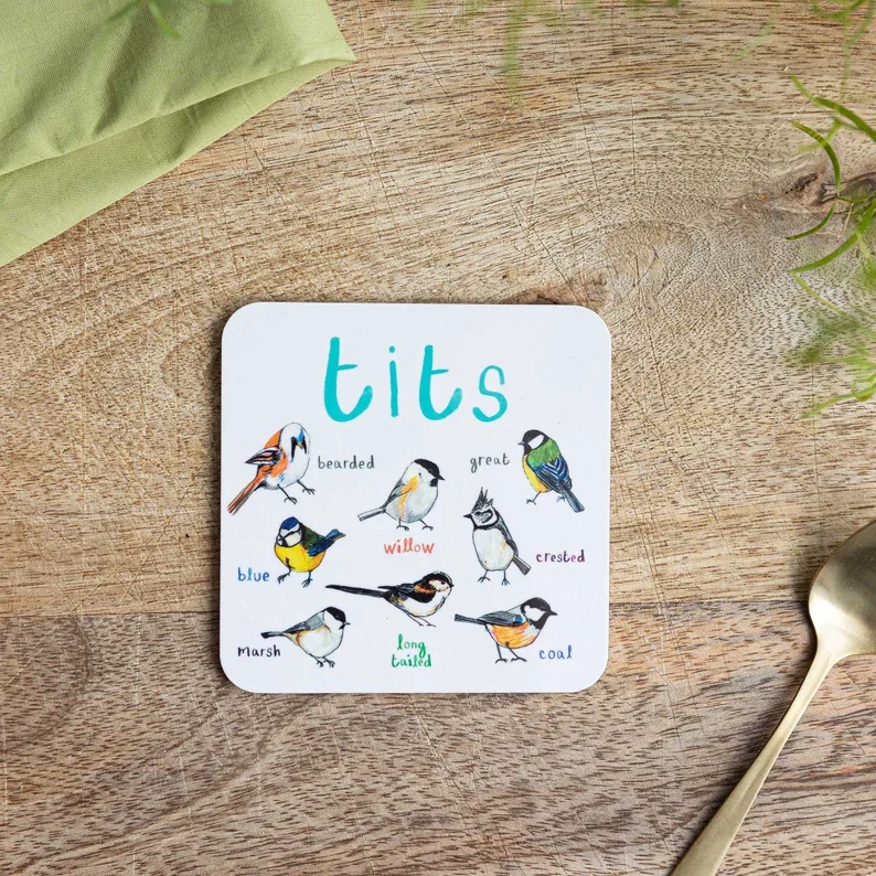 49% OFF🐦Set of 6 Bird Pun Coasters