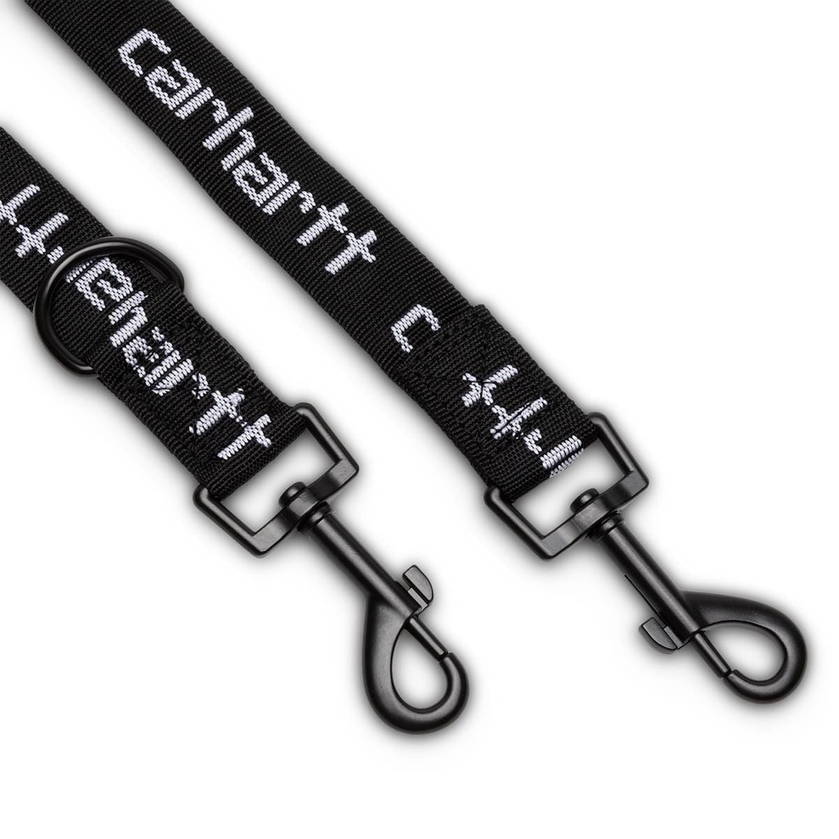 SCRIPT DOG LEASH & COLLAR