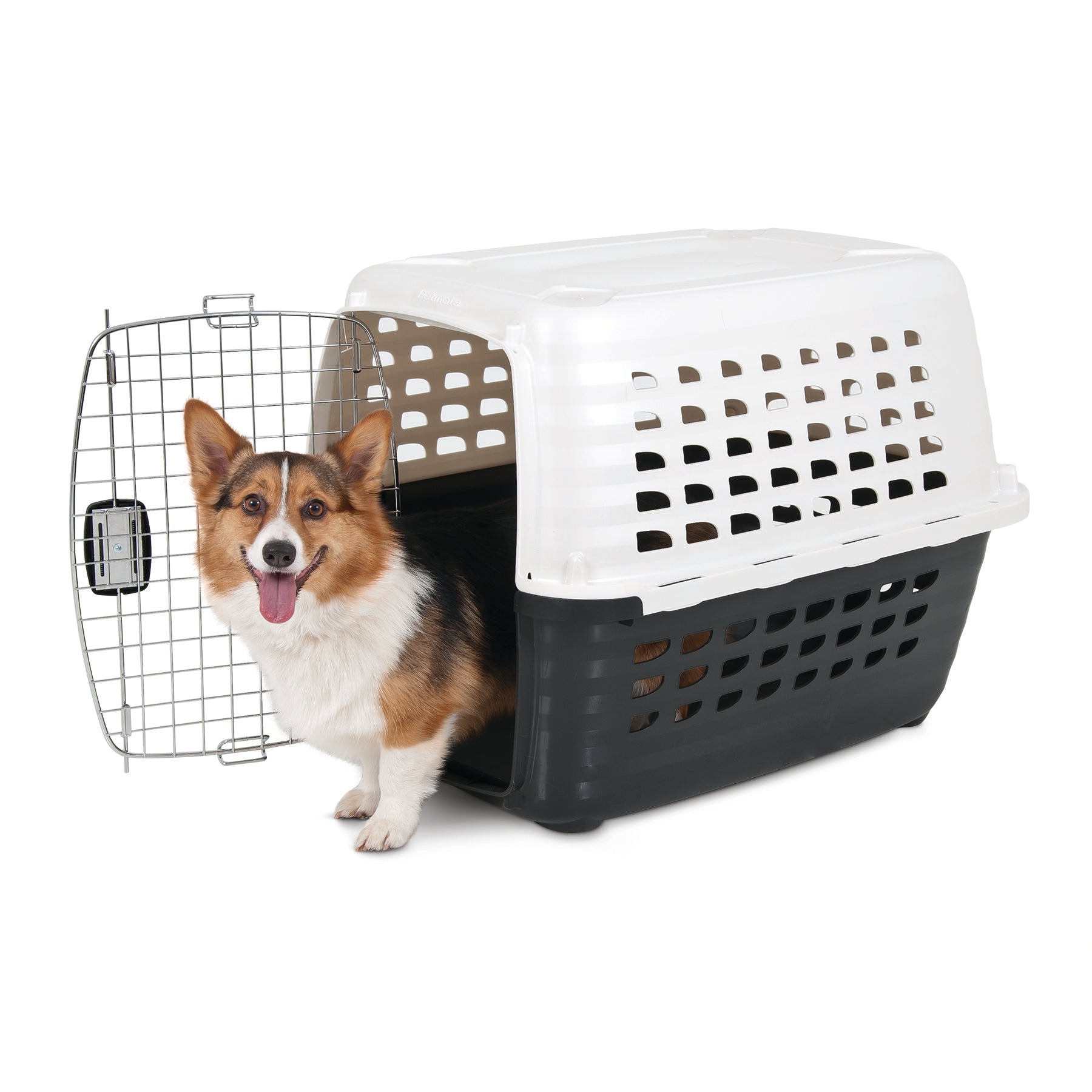 Petmate Compass Dog Kennel， 30-50 lbs， 32