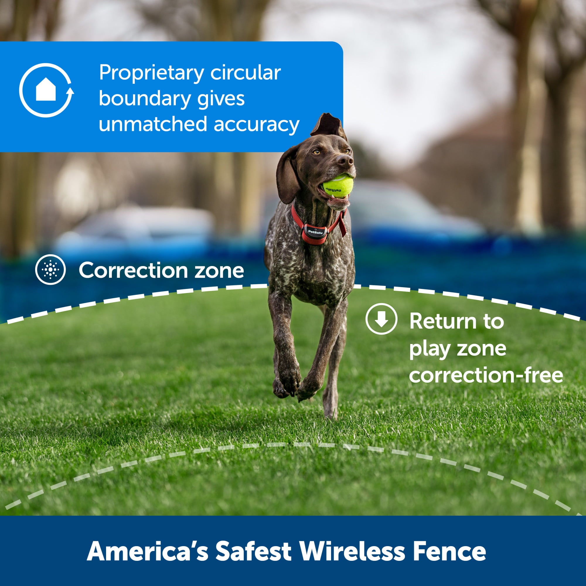 PetSafe Stubborn Dog Stay and Play Wireless Fence Receiver Collar， Waterproof， Rechargeable
