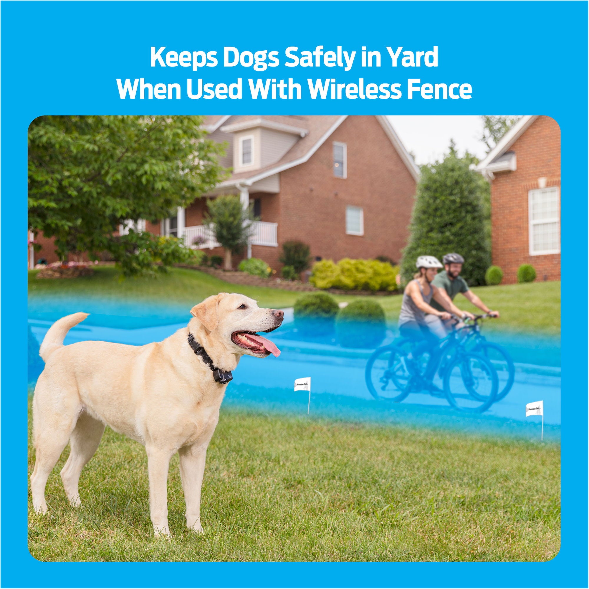 Premier Pet Wireless Add-A-Dog: Adds Unlimited Dogs to Premier Pet Wireless Fence， Additional or Replacement Collar， Adjustable， Waterproof， Tone and Static Correction， Low Battery Indicator