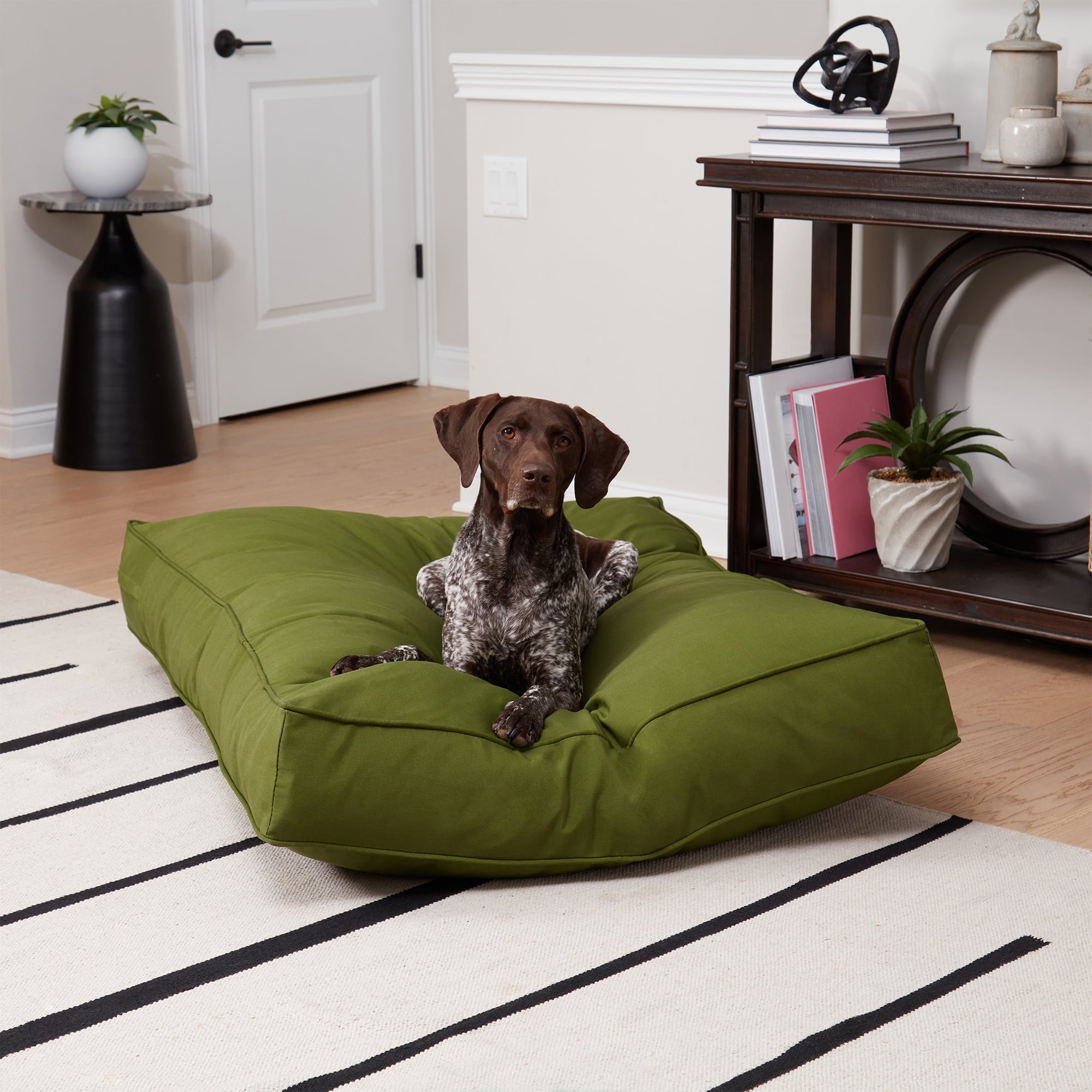 Happy Hounds Casey Indoor/Outdoor Pillow Style Dog Bed， Hunter， Large (48 x 36 in.)